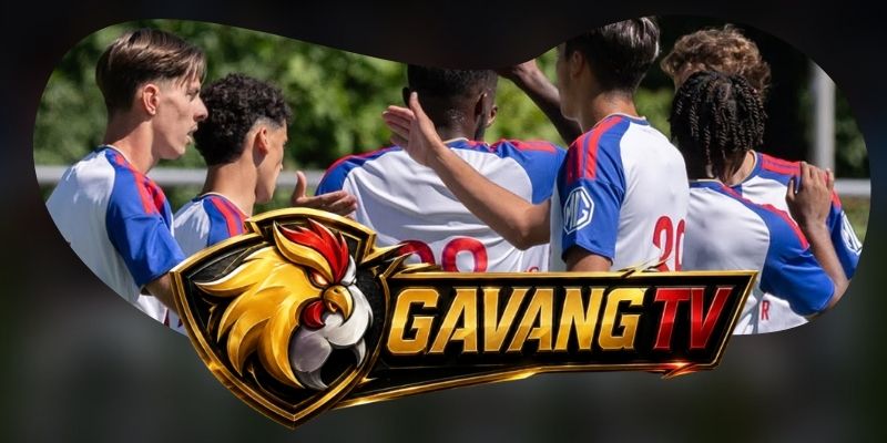 Dự Đoán Trận Fenerbahce Vs Lyon 02h00 19/08