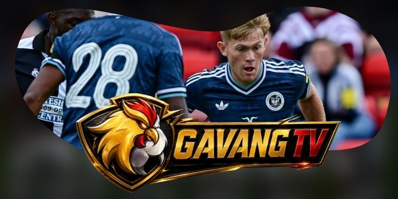 Phân tích phong độ Newcastle United vs Liverpool qua sức bật sân nhà và khả năng chống áp lực