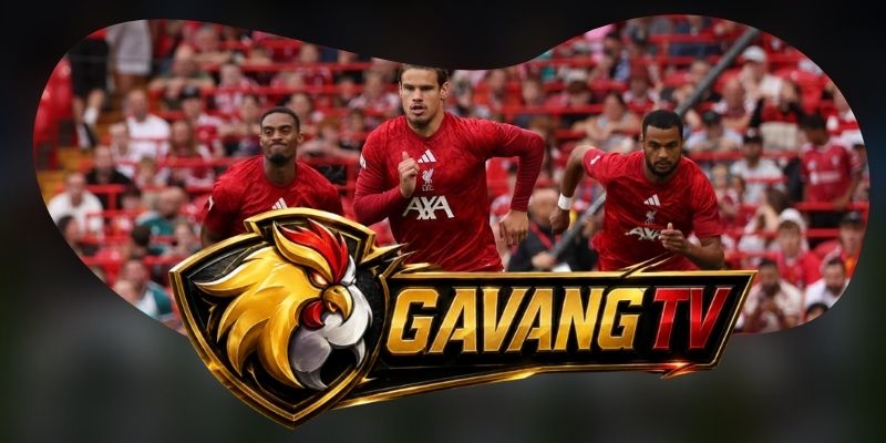 Tổng hợp dự đoán kèo Newcastle United vs Liverpool ngày 23/08 theo lợi thế sân nhà