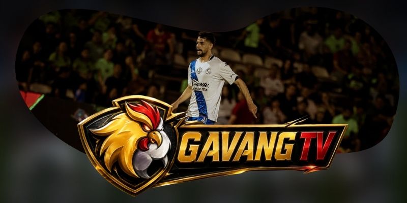 Tổng hợp dự đoán kèo Pachuca vs Puebla ngày 18/08 theo thế trận phản công