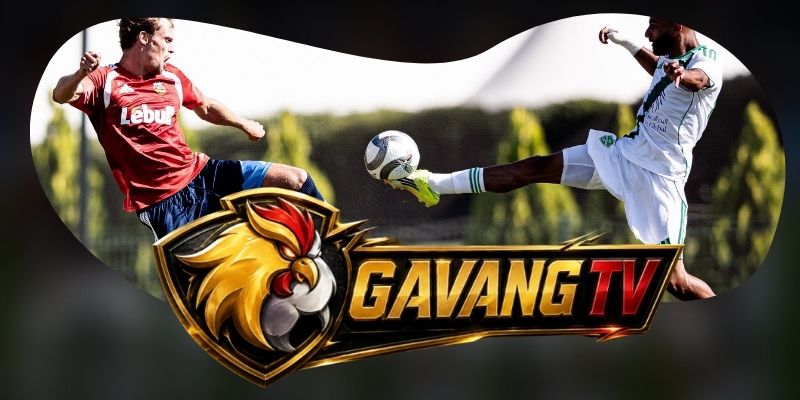 Phân tích phong độ Rio Ave vs FC Porto từ khả năng giữ chiều sâu