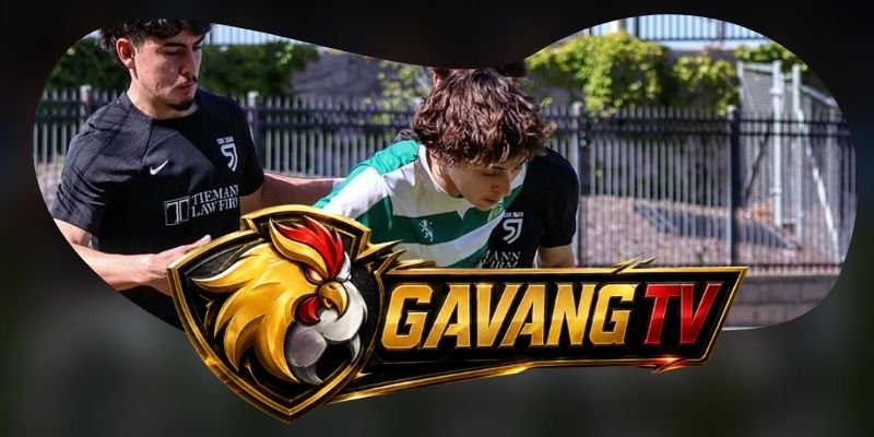 Tổng hợp dự đoán kèo trận Viseu vs Santa Clara ngày 16/08 theo hiệu suất cơ hội