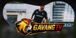 Dự Đoán Trận Viseu Vs Santa Clara 00h00 16/08
