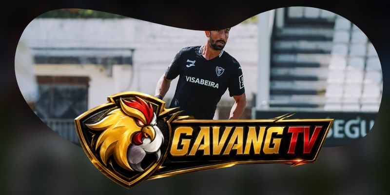 Dự Đoán Trận Viseu Vs Santa Clara 00h00 16/08